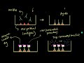 ELISA | Biotechnology and its Applications | Biology | Khan Academy