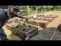 Planting Our Garden 2023 | Tomatoes & Peppers | The ShabinLife