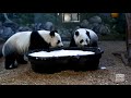 Ya Lun and Xi Lun check out bubble bath