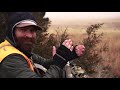 Hunting Rutting Montana Mule Deer