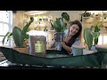 How To Repot A Snake Plant - Houseplant Care 101: Ep. 2 - Snake Plant Care, Repotting, Propagation