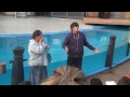 Sea Lions Tonite! - Full Show - 2011