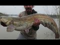 BIG SURPRISES While Fishing for ZANDER on a Flooded River