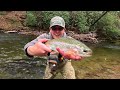 Rainbow Trout Heaven!!! Awesome North GA Fly Fishing