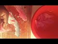 How to fillet White Bass!