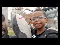 Mini VLOG | Dad And Son Goes On An Adventure Downtown and At The Park 🏞️ 🏙️