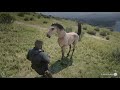Capturing Wild Horses in Red Dead Redemption 2 vs RDR 1