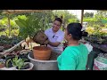 Un día como TRABAJADOR DE UN VIVERO, esto fue lo que hice 🧑🏼‍🌾 | vivero Emmanuel