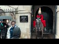 ROYAL GUARD HORSE BITE 7, Won't Release Tourists! | Royal guard, Horse Guards,  King’s Guard, London