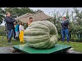 Pumpkin Weigh Off Oldebroek | 2022