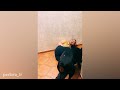 Doberman is the Funniest Dog That Will Make You Laugh!🐶 Best Dog Compilatio