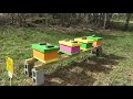 Bee Package Pickup Day April 27 2019