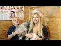 GIANT ALASKAN MALAMUTE DOGS - GROOMING AND CARE