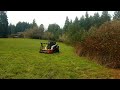 Bamboo Valley Forestry mulching Oregon blackberry thicket with wild plums and willows