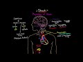 What Is Shock? | Shock Pathophysiology | Shock (Part 1)