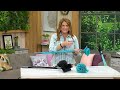 CAMPANELLI ProSeries MightyTidy Cleaning Kit on QVC