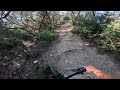 pajarito trail collserola