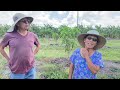 Retired Couple Builds A Fruit Farm