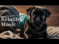 Relaxing Music for Stress Relief. Healing Music.