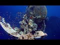 Deeply Relaxing Underwater Sounds - 5 Hours | Deep Ocean Sounds - Sleep, Relax, Study, Meditation