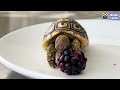 Baby Tortoise Wears Flower Hats And Goes On Adventures! | Dodo Kids