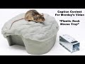 A Simply Awesome  Mouse Trap. A huge mouse catching surprise. Mousetrap Monday