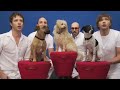 OK Go - White Knuckles - Official Video