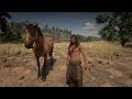 Canyon Chase||Spirit:Stallion of the Cimmaron Movie in Red Dead Redemption 2