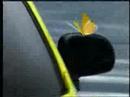 Korean Car: Butterflies vs Ball Bearings