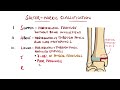 Salter-Harris Classification Made Easy To Remember