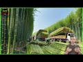 How Bamboo Products Are Made: Straws, Bamboo Houses, Handicrafts, Plywood, Chopstick Factory