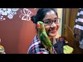 How to choose Male & Female and Healthy Baby Parrot