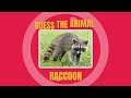 Can You Name That Animal? Test Your Wildlife Knowledge!