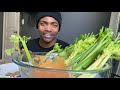 Crunchy Celery | Mukbang | Healthy