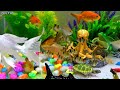 Colorful Aquarium, Cute Animals, Crocodile, Whale, Goldfish, Duck,Octopus,Frog,Jellyfish,Crab,Turtle