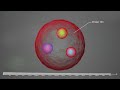 The Building Blocks of The Universe - Quarks & Supersymmetry Explained by Brian Greene