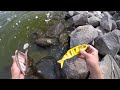 Swimbait Fishing For Spillway BEASTS!