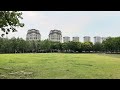 Taifeng Park,Teda,Tianjin. A comfortable morning,2024/6/7