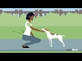 How to Pet a Dog