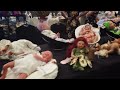 Aussie Reborn Baby Doll Convention 2022 - Walk The Floor With Me