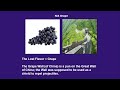 NO AUDIO, LITTLE PRODUCTION - Playthrough Playlist NES A Boy and His Blob Slideshow The Lost Flavor