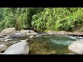Relaxing beautiful river water sounds to relieve insomnia and stress, asmr