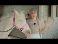Emergency Horse Care - This Esme Ad