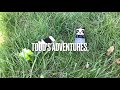 Todd’s Adventures, Jungle Vacation      Part One