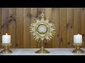 Adoración al Santísimo en vivo / Live Adoration of the Blessed Sacrament.