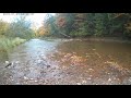 Salmon spawning in Bronte Creek.