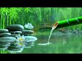 Relaxing Music to Relieve Stress, Anxiety and Depression 🌿 Heals The Mind, Body and Soul #57