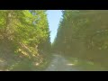 Forest Roads of Mount Rainier Area - 4K Slow Motion Scenic Drive with Music (Rear View) - Part 3