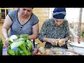 Harvesting Cucumbers  | Pickle Making and Lemon Chicken Recipe