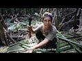 Mangrove: Harapan dan Kehidupan [Dokumenter] | Mangrove: Hope and Life [Documentary]